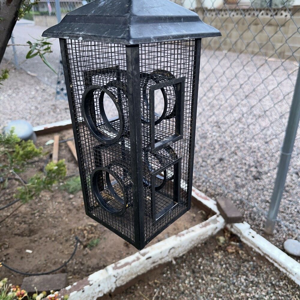 bird feeders hanging metal
